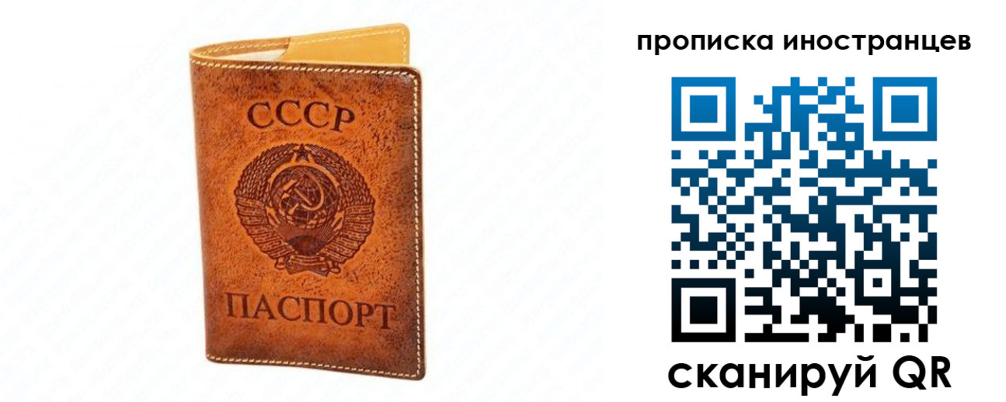 прописка для школы в Данилове